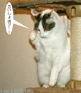 jyaikenn1.gif