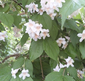 150504_130201.jpg