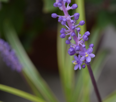 DSC_0020.jpg