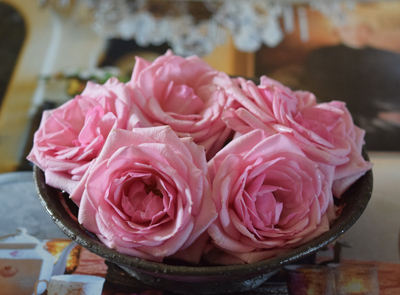 DSC_2008.jpg