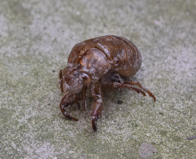 DSC_2376.jpg